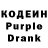Кодеиновый сироп Lean Purple Drank Ella Rossman
