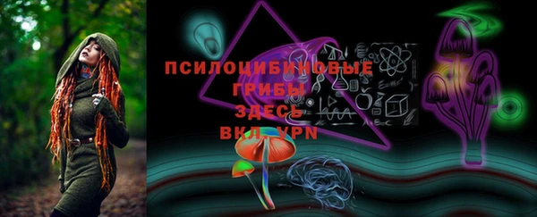 стафф Володарск