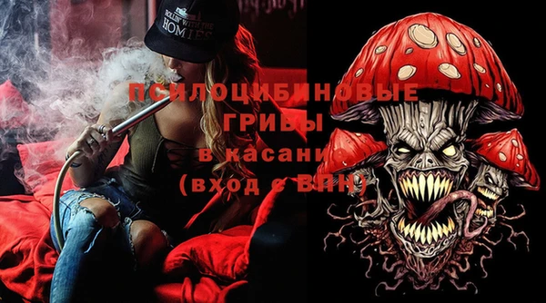 ешки Вязьма