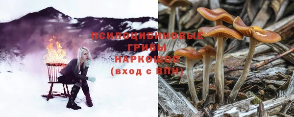 ешки Вязьма