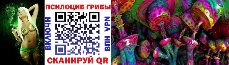 Галлюциногенные грибы мицелий  Купить  Мосальск 